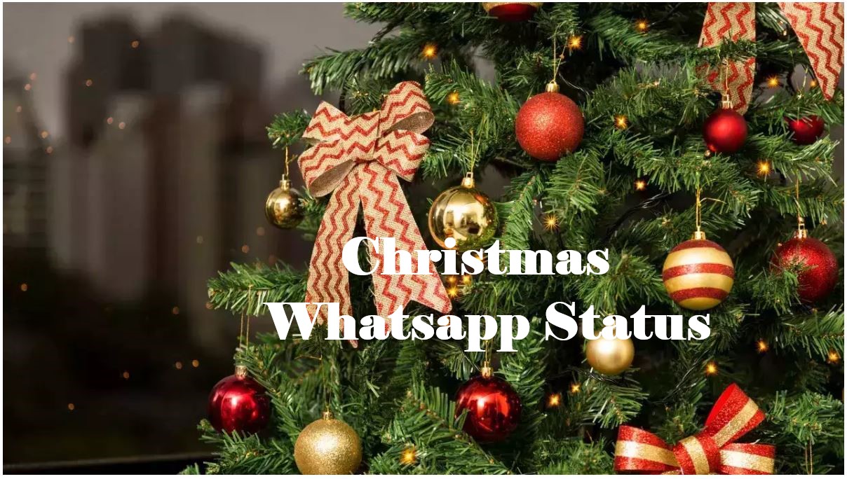 christmas status for whatsapp